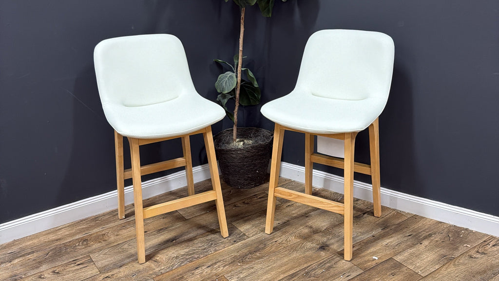 Rove Concepts - Aubrey Counter Stool set of 2